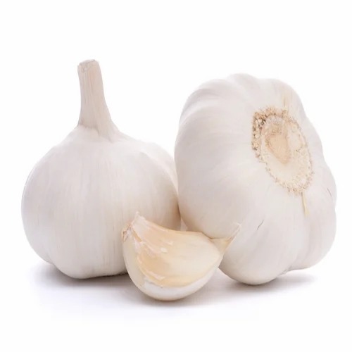 White Fresh Garlic