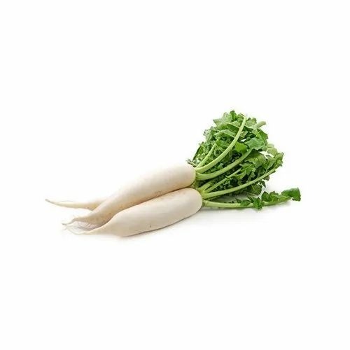White Radish - 10 Kg A Grade, White Color, 1% Sodium | Chopped Processing Form, Common Shape, Cooked Style