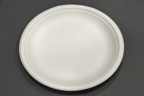 12 Inch Round Bagasse Disposable Plate - Application: Event And Party Supplies