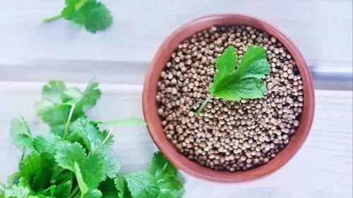 Coriander - Dried, Standard Size, Brown Color, Organic | Grade A, Store in a Cool and Dry Place for Optimal Freshness