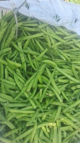Fresh Broad Beans - Fresh A Grade Vegetables | Chopped, Common Shape, Cooked Style, Ideal for Culinary Applications
