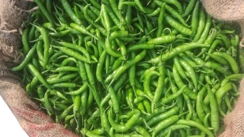 Green Chilli