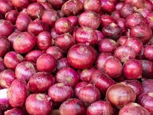 Organic Red Onion