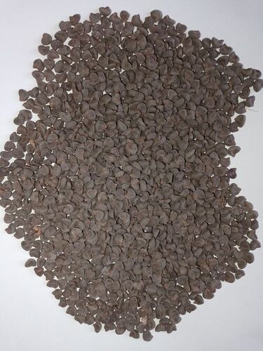 Natural Dried Hibiscus Flower Seeds