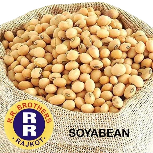 Soyabean Seeds