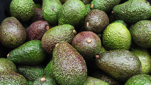 Indian Avocado - Color: Green