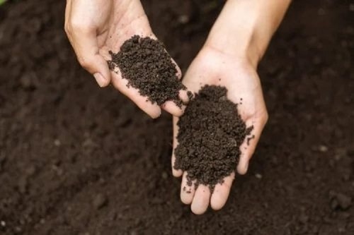 Organic Fertilizer Vermi Compost Compostion Organic Manure