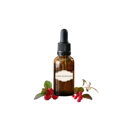 Pure Wintergreen Oil - Steam Distilled Liquid, Bottle | Good Quality, 36 Months Shelf Life, Suitable For All Age Groups