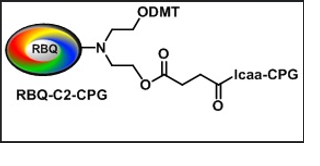 RBQ-C2 on CPG Support