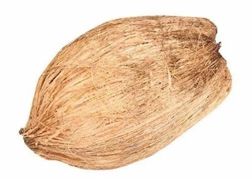 A Grade Semi Husked Coconut