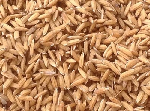 Brown Rice - 25 kg Packaging, A Grade Quality, Long Grain Size, 100% Pure, Dried, Common Cultivation