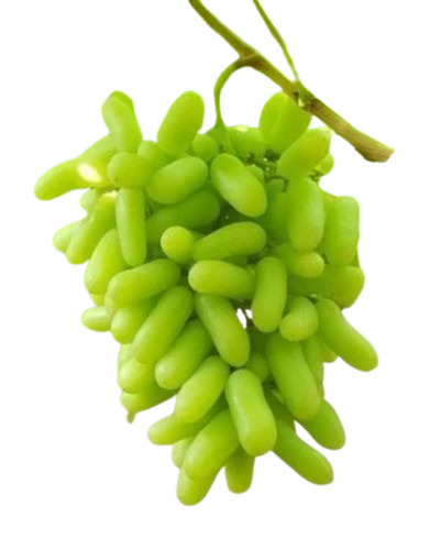 Fresh Grapes