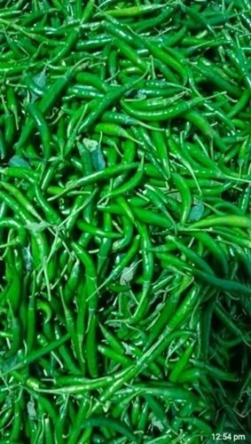 Green Chilli - 5 Kg A Grade G4 Green Chilli Chopped Common Shape Cooked Style