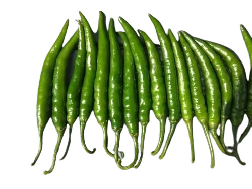 Green Chilli