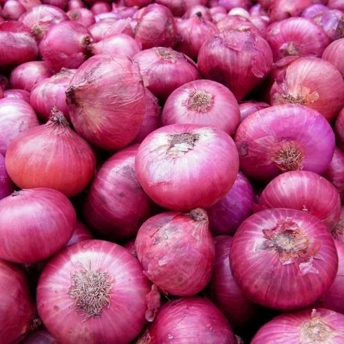 Nashik Red Onions - Chopped A Grade Organic Quality | 90 Days Shelf Life Cool Storage Cooked Style