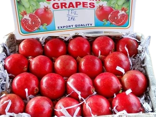 Pomegranate - A Grade 2KG Carton Packaging | Red Whole Fruit Sweet Taste Common Cultivation