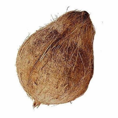 Semi Husked Coconut - Organic Medium Size Brown Color | Fresh Semi-Husked Husk Type A Grade Quality Packaged in Loose Gunny Bag 90 Days Shelf Life