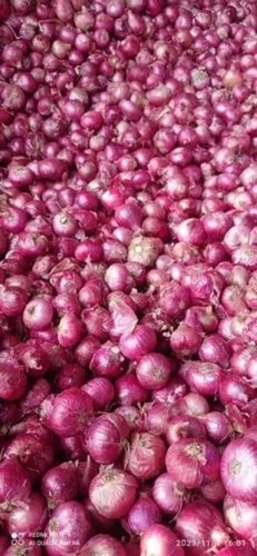 Shallots Small Onion - 20 Kg A Grade Red Color Chopped Processing Form Common Shape Cooked Style Plastic Bag Packaging Dry Storage