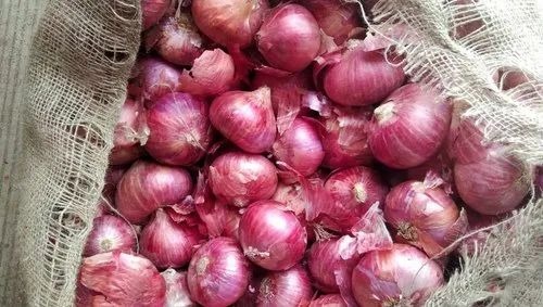 A Grade Onion - 50 Kg Net Bag, Large Size, Common Shape, Cooked Style, Chopped Processing Form