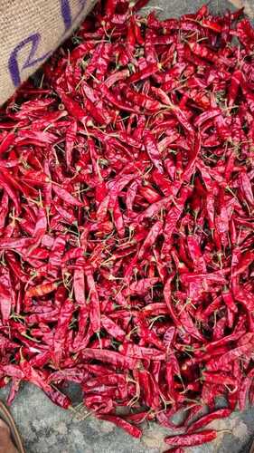 Bangaram Red Chilli - Moisture (%): 11