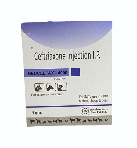 Ceftriaxone 4gm Injections - Veterinary Medicine Grade, Liquid Injectable Solution for Cattle and Other Animals
