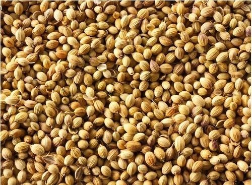 Coriander Seed - A Grade, Brown Cooking Spice | Ideal for Culinary Uses, Store in Cool and Dry Place, Fresh Quality