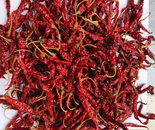 Dry Red Chilli Sygenta 5531 - Grade: Medium