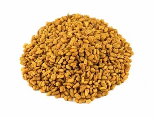 Fenugreek Seed - A Grade Cooking Spice, Yellow Color | Fresh Quality, Ideal Storage in Cool and Dry Place, Perfect for Culinary Applications