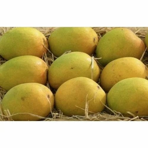 Fresh Mangos