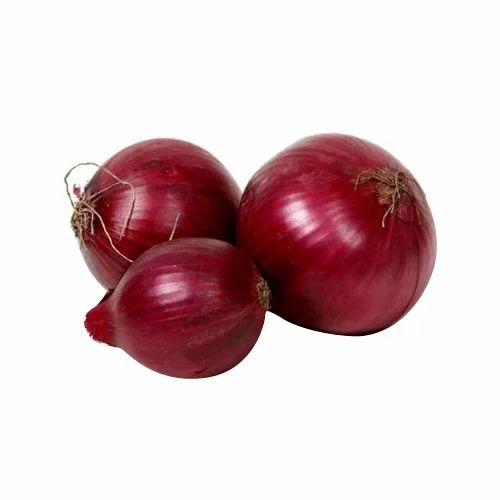 Fresh Onion