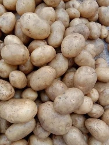 Fresh Potato - A Grade, Brown Color, 50 Kg Packed in Jute Bag | Chopped, Common Shape, Cooked Style, 3-4 Months Refrigerated Shelf Life