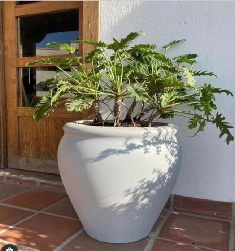 FRP Planter