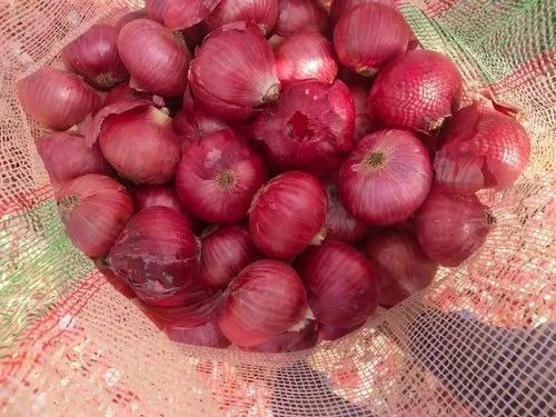 Onion - Fresh A Grade Chopped Vegetables | Common Shape Cooked Style Optimum Quality