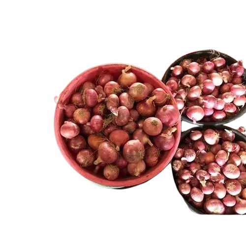 Organic Pink Onion - A Grade, 2-3 Months Shelf Life, Dry Storage in Gunny Bag | Chopped, Common Shape, Cooked Style