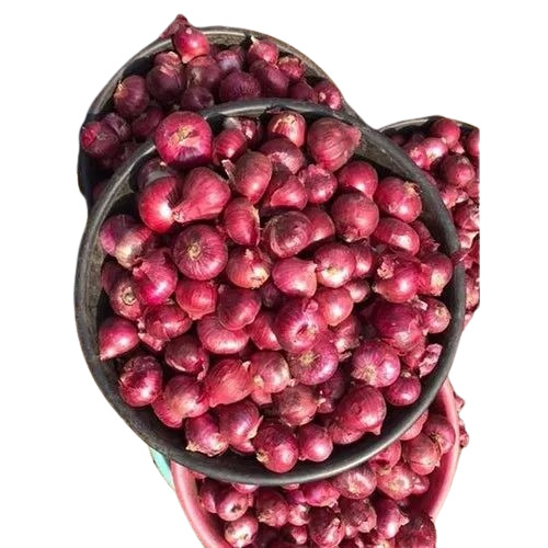 Organic Red Onion - A Grade Quality, Chopped Form, Common Shape, Cooked Style, 2 Months Shelf Life, For Dry Storage