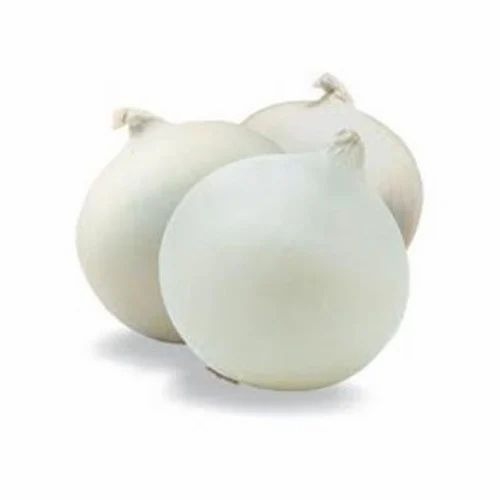 Organic White Onion