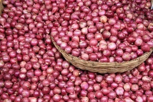 Red Onion - Organic A Grade Medium Size, 50 Kg Net Bag | Chopped, Common Shape, Cooked Style