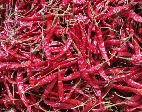 Teja Dry Red Chilli - Grade: Medium