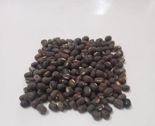 Urad