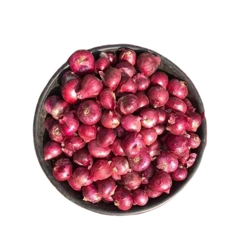 Red Onion - Organic, A Grade, Chopped Form | Common Shape, Cooked Style, 2 Months Shelf Life, Packaged in Gunny Bag for Optimal Storage