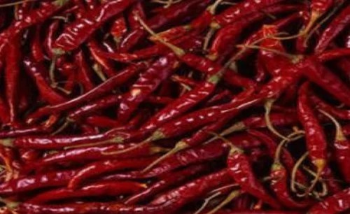 S4 Guntur Sannam 334 Dry Chilli - A Grade, Fresh Red Cooking Spice | Spicy Flavor, Ideal for Culinary Applications