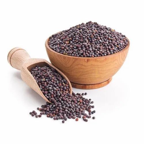 Black/Brown Mustard Seeds - 100 Kg Bag Packaging | Black Color 100% Purity Fresh Condition Ideal for Indian Cuisine 12-Month Shelf Life