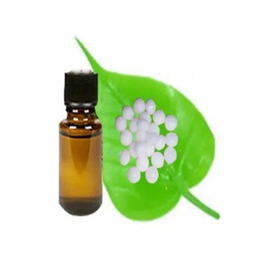 Camphor Essential Oil - Cold Pressed, 100% Pure Fragrance Compound for Aromatherapy | Shelf Life: 12 Months, Store in Dry Place