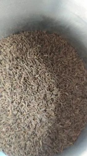 Cumin Seeds