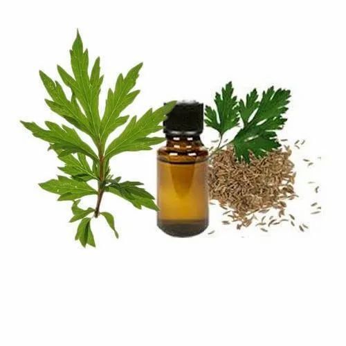 Davana Essential Oil