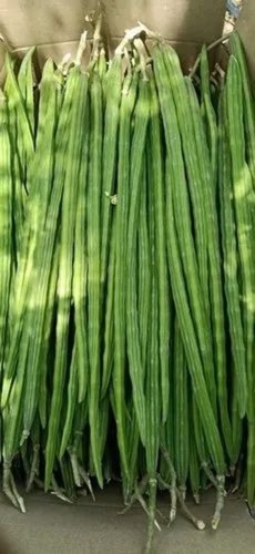 Fresh Drumstick - 10 Kg A Grade Chopped Green Drumsticks | Cooked Style, Common Shape in Carton Packaging