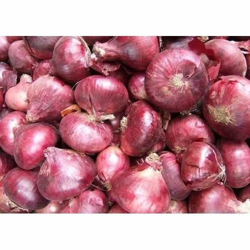 Fresh Onion - Fresh Vegetables, A Grade, Optimum Quality | Chopped Form, Common Shape, Cooked Style