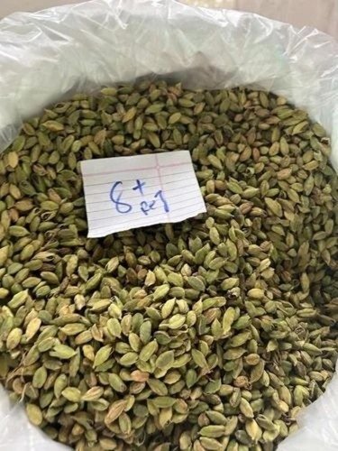 Green Cardamom - 7mm Bold Malabar Variety, Greenish Color for Cooking Use