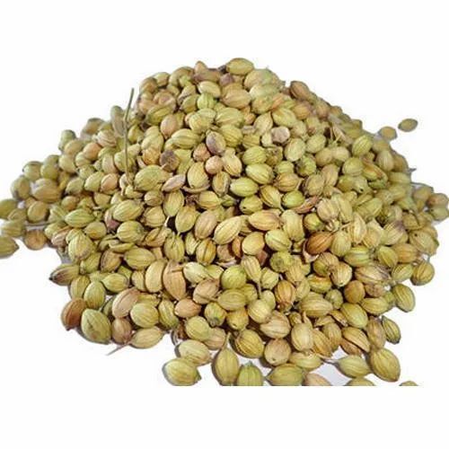 Natural Coriander Seed - 50 Kg Bag Brown Color 100% Purity 12 Months Shelf Life | Healthy Edible Spice Seeds in Fresh Packaging