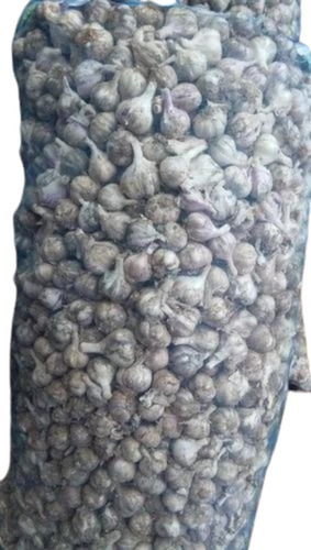 Ooty Garlic Seed